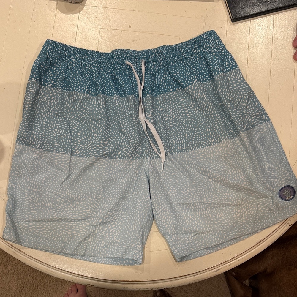 Men's Blue Swim Shorts Chubbies brand